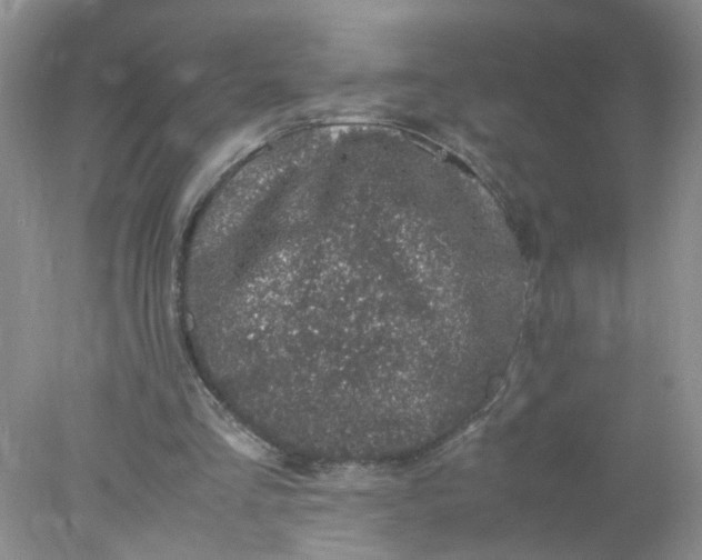 X0000078020293200611171920