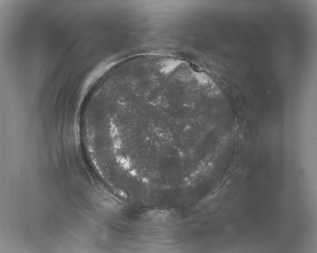 X0000078020294200611171920