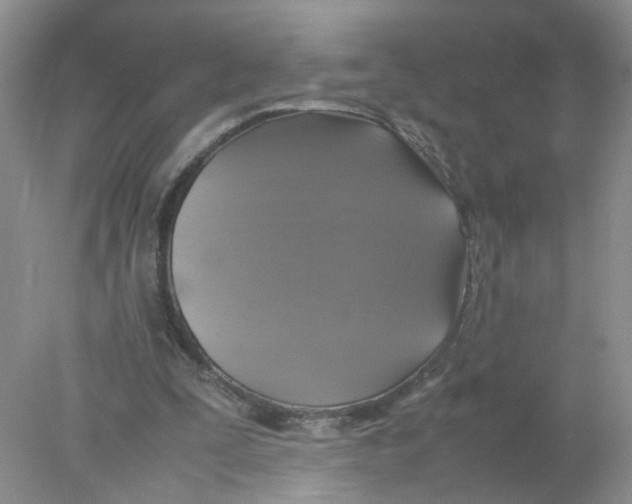 X0000078020295200611171920