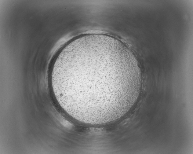 X0000078020296200611171920