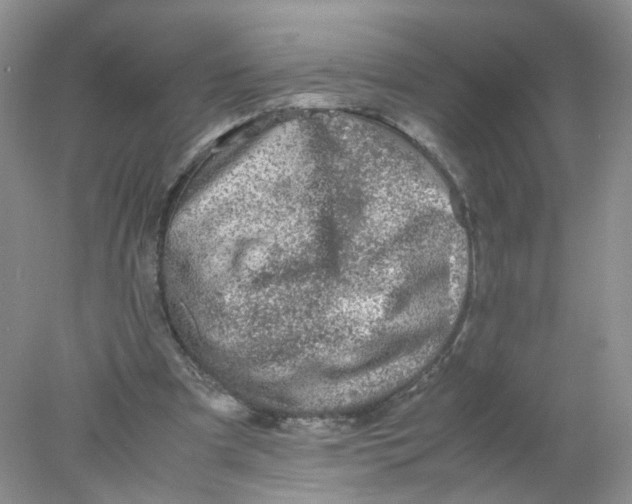 X0000078020297200611171920