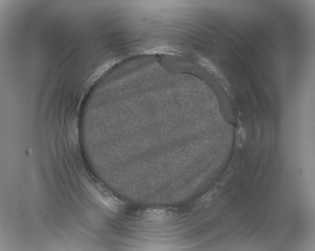 X0000078020298200611171920