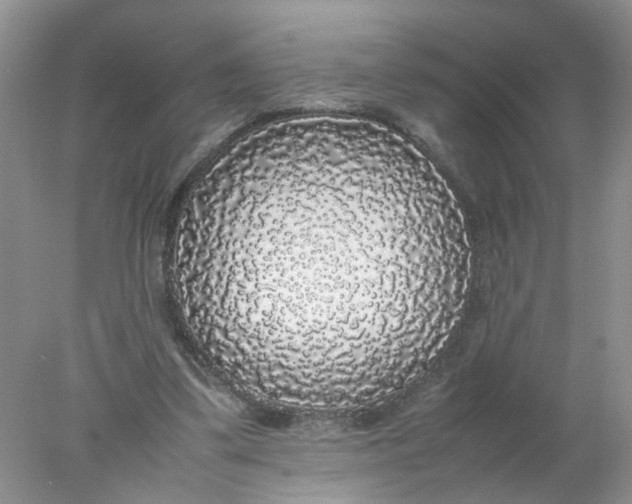 X0000078020299200611171920