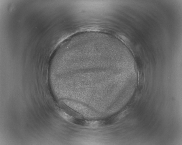 X0000078020301200611171920