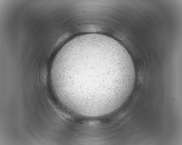 X0000078020304200611171920