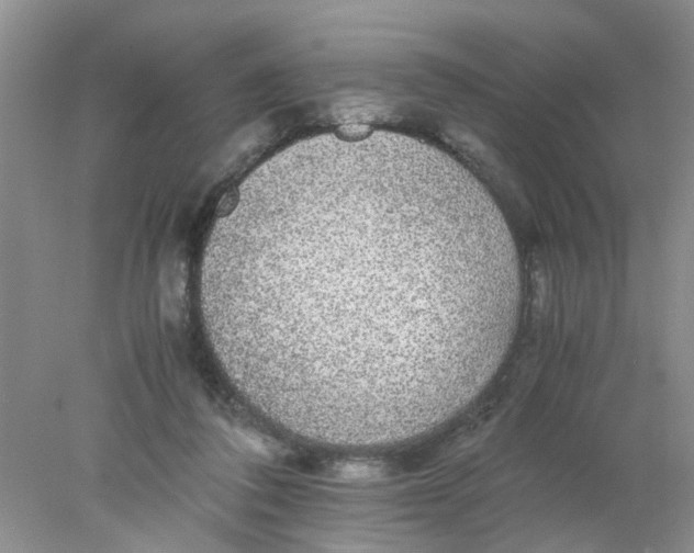 X0000078020308200611171920