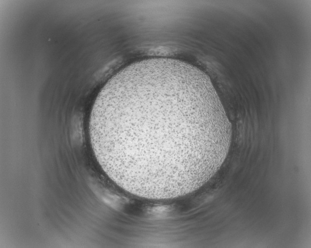 X0000078020312200611171920