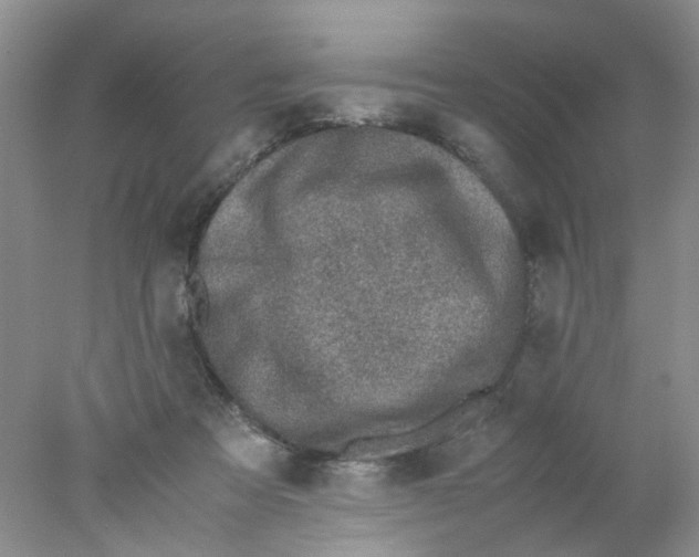 X0000078020313200611171920