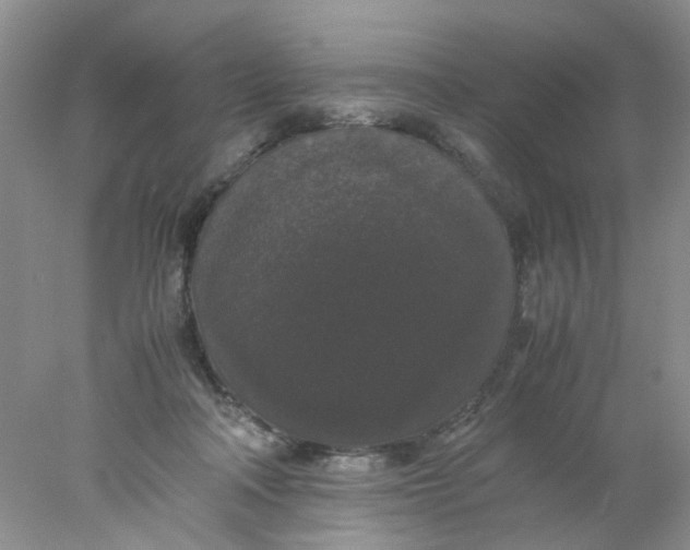 X0000078020314200611171920