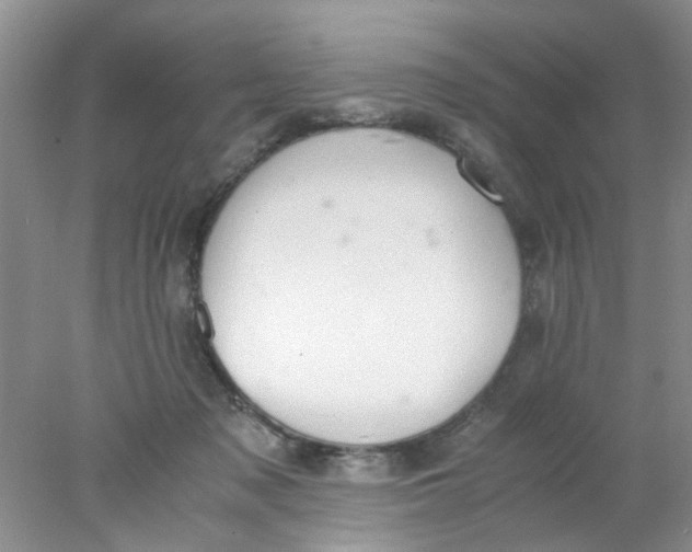 X0000078020317200611171920