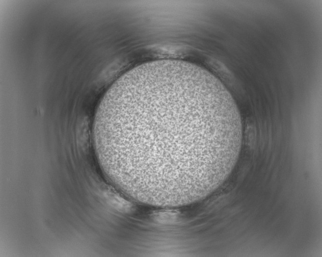 X0000078020318200611171919