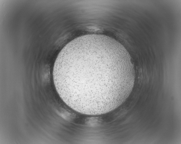 X0000078020320200611171919