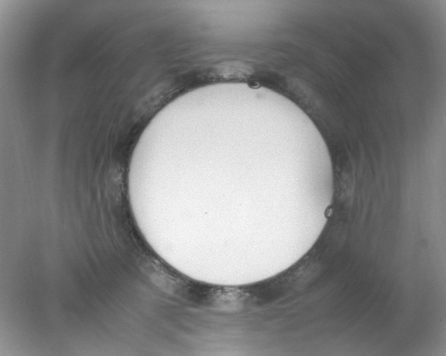 X0000078020321200611171919