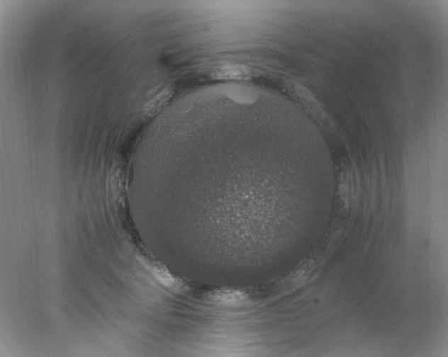 X0000078020322200611171919