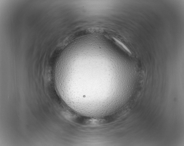 X0000078020323200611171919