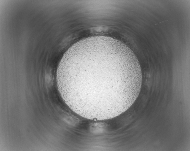 X0000078020324200611171919