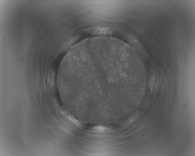 X0000078020326200611171919