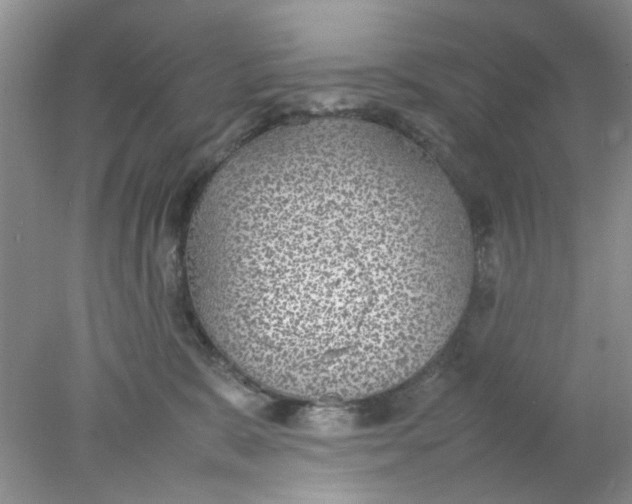 X0000078020327200611171919