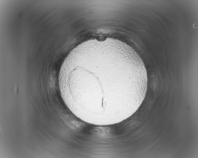 X0000078020328200611171919