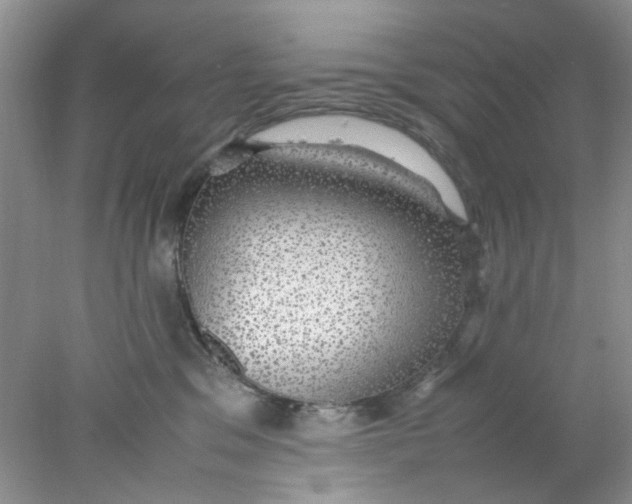 X0000078020329200611171919