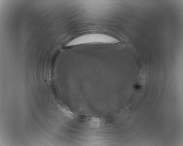 X0000078020330200611171919