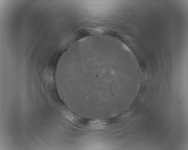 X0000078020331200611171919