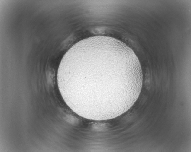 X0000078020332200611171919