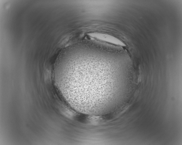 X0000078020333200611171919