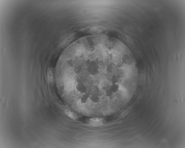 X0000078020335200611171919