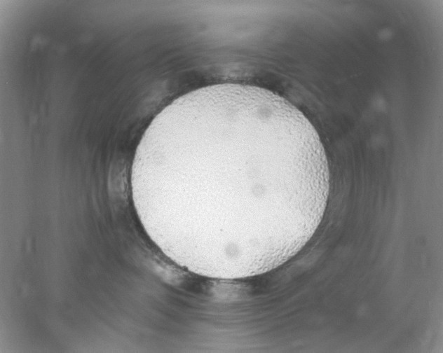 X0000078020336200611171919