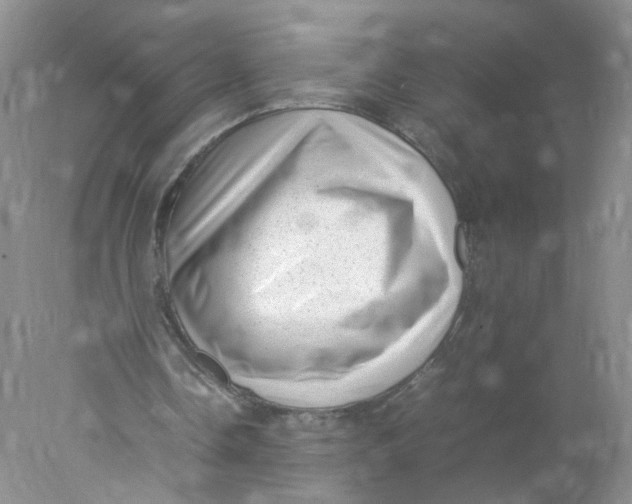 X0000078020338200611171918