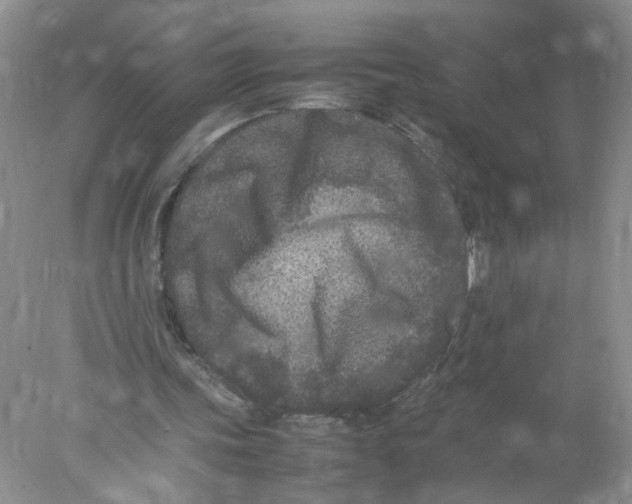 X0000078020339200611171918