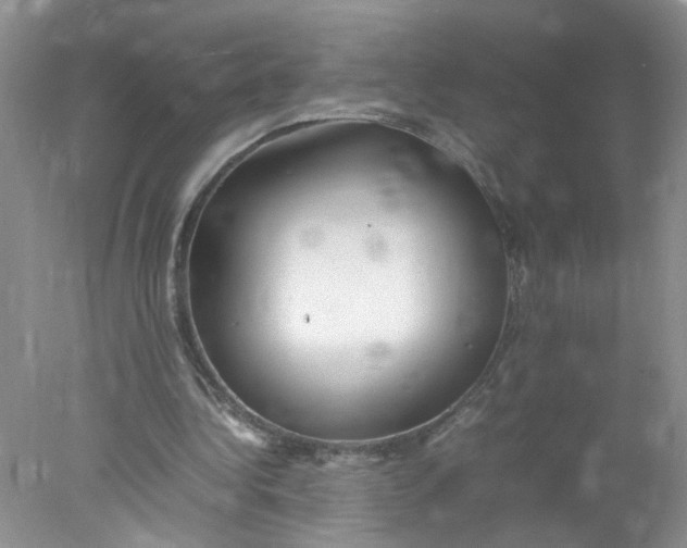 X0000078020340200611171918