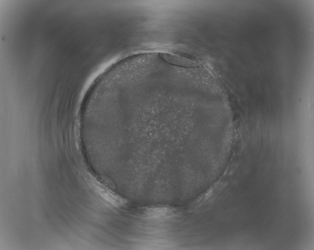 X0000078020342200611171918