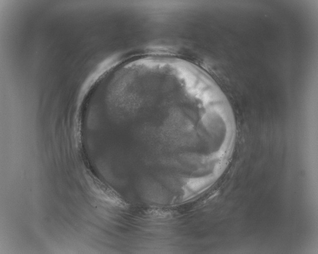 X0000078020343200611171918