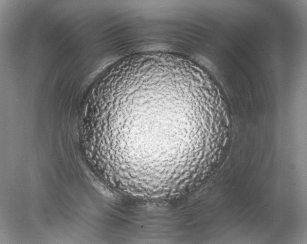 X0000078020345200611171919