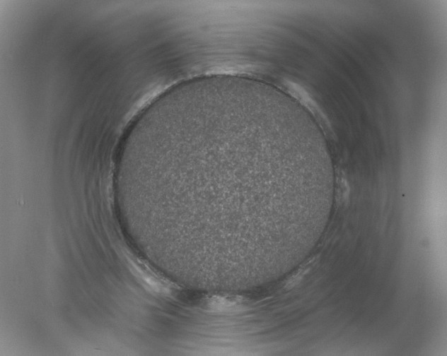 X0000078020346200611171919