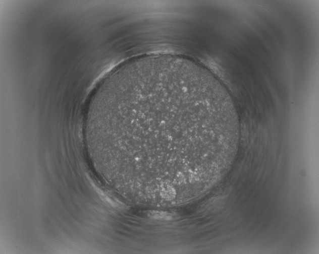 X0000078020347200611171919