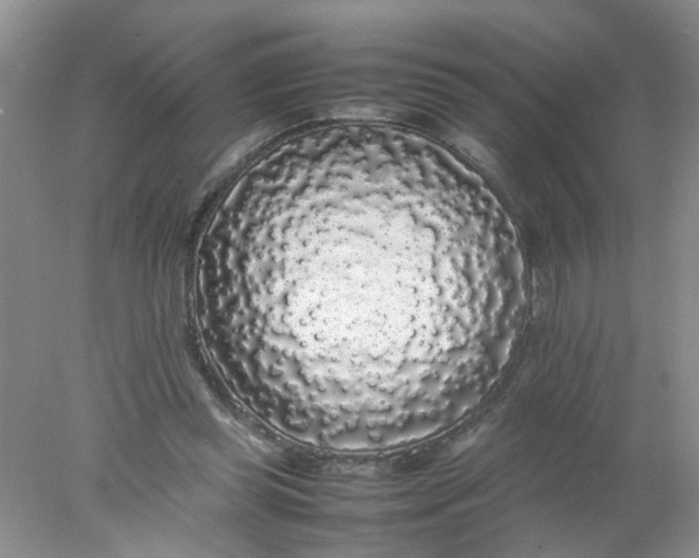 X0000078020349200611171919