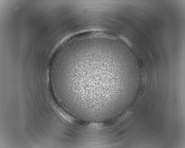 X0000078020350200611171919