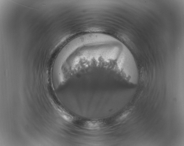 X0000078020351200611171919