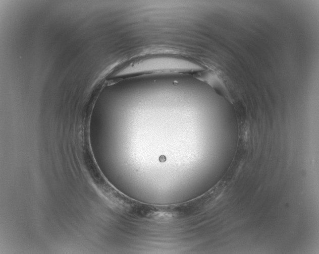 X0000078020352200611171919