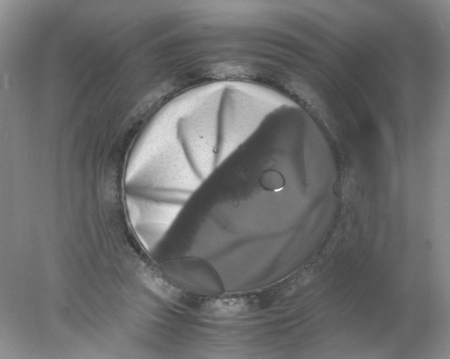 X0000078020353200611171919