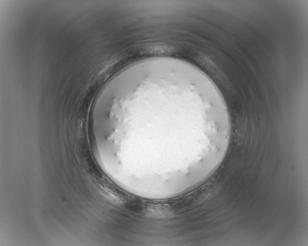 X0000078020355200611171919