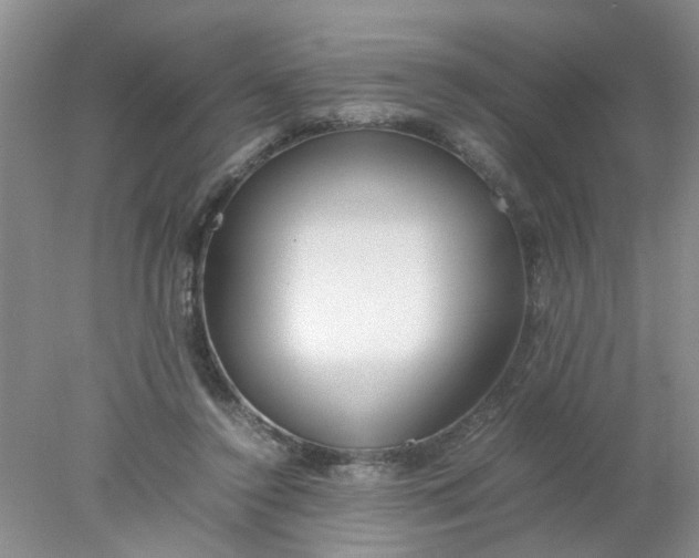 X0000078020356200611171919