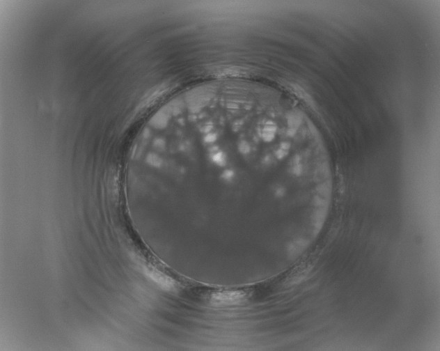 X0000078020357200611171919