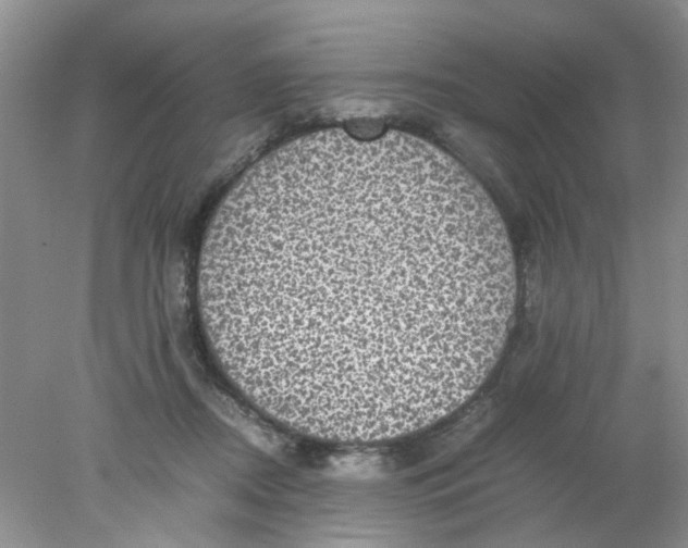 X0000078020362200611171919