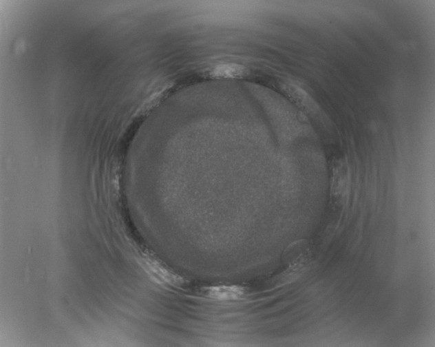 X0000078020363200611171919