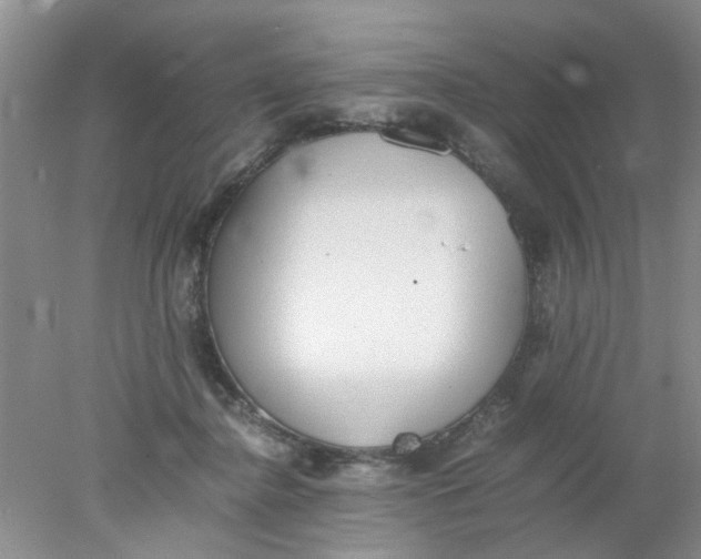 X0000078020364200611171919