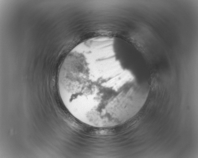 X0000078020365200611171919